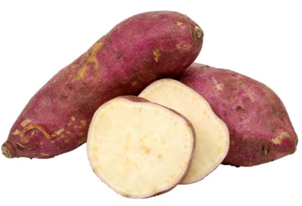 RED POTATO