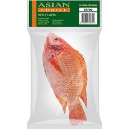 RED TILAPIA