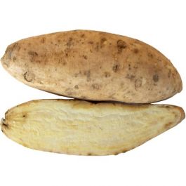 WHITE SWEET POTATO