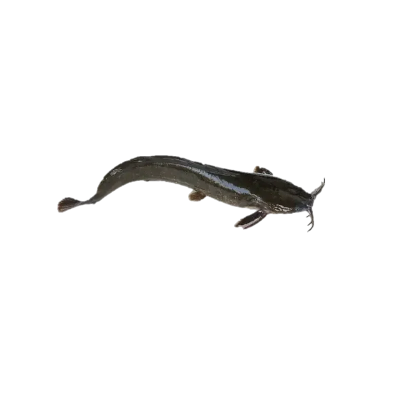 cartfish