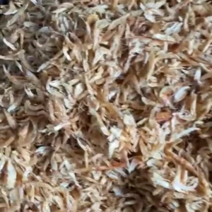 1 x 240g Ungrounded Crayfish – Natural African Seasoning