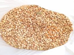 HONEY BEANS